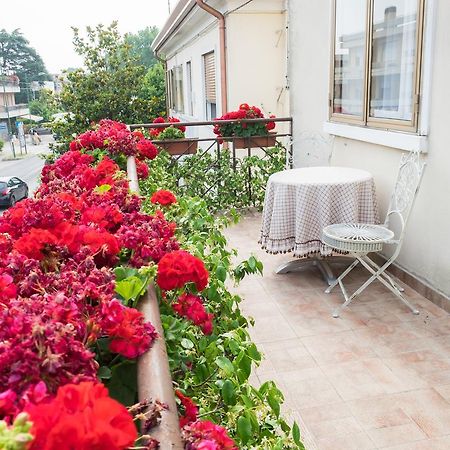 B&B Pereuka Rovigo Luaran gambar